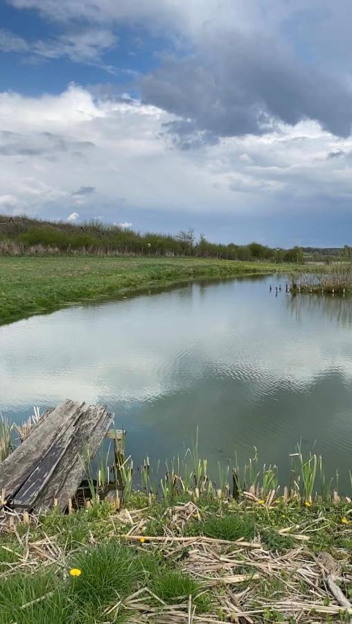 Agroturystyka Nad Jeziorem Silickim Ilinscy Silice Dış mekan fotoğraf