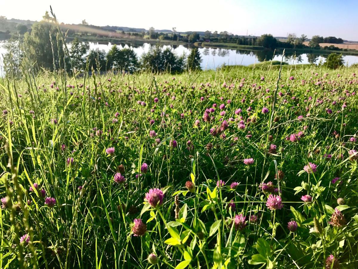 Agroturystyka Nad Jeziorem Silickim Ilinscy Silice Dış mekan fotoğraf