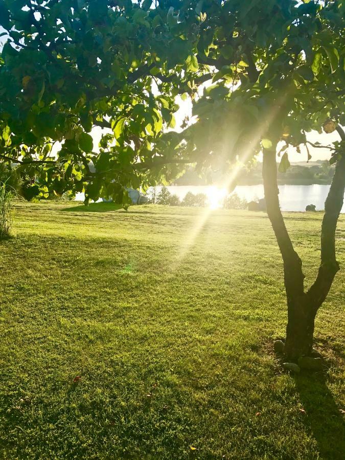 Agroturystyka Nad Jeziorem Silickim Ilinscy Silice Dış mekan fotoğraf